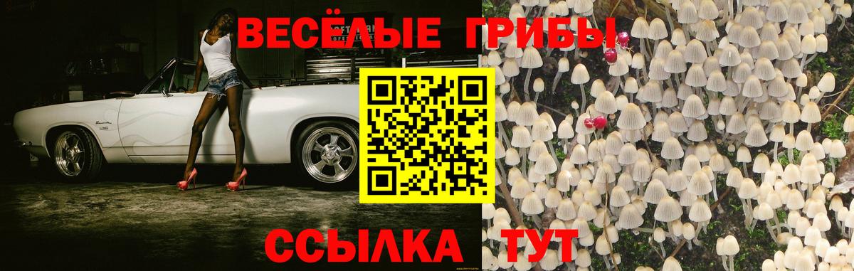 Ипатово  Галлюциногенные грибы мухоморы  Вход с VPN  Псилоцибиновые грибы Cubensis 